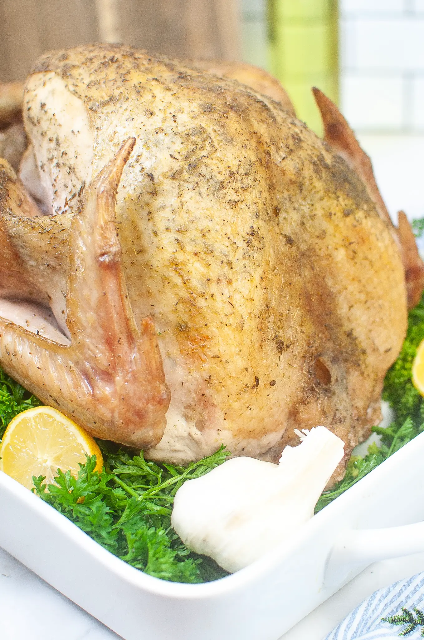 Close up of breast on turkey